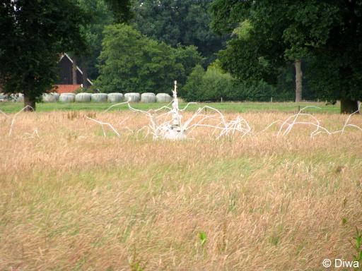 Vreemd glaswerk (Foto: Dick Waanders)