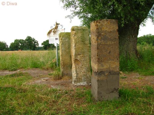 Drie op een rij (Foto: Dick Waanders)