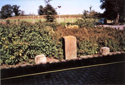 Gp 16 in een privé-tuin (Foto: Jaap Eimers)