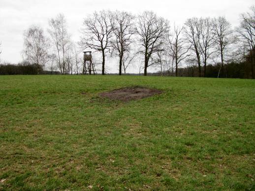 Kale plek (Foto: Dick Waanders)