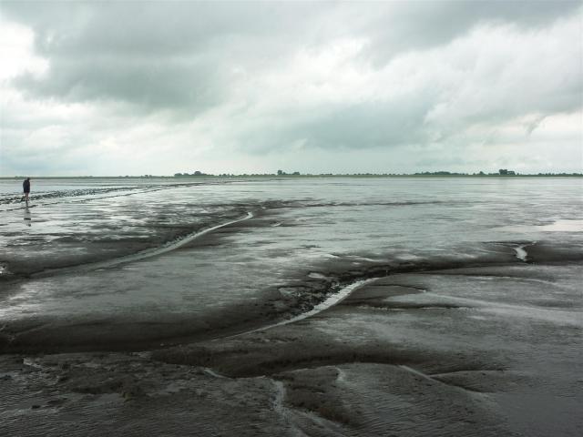 (Foto: Herman Posthumus)