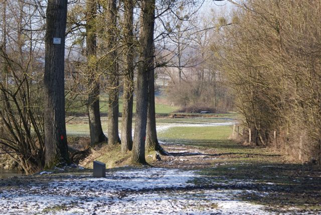 'Perceelsteen' op afstand (Foto: Hans Hermans)