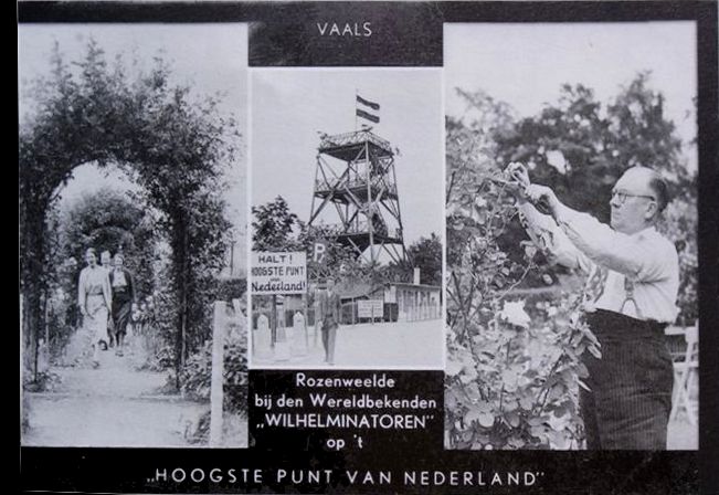 Ansichtkaart met wereldbekende toren (Collectie: Dolf Baltus)