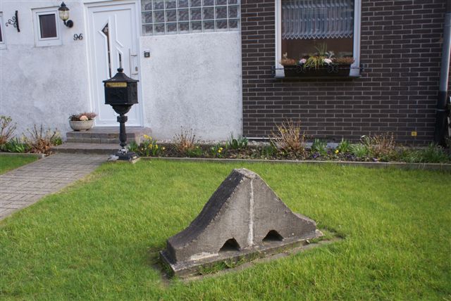 Leiconblok in voortuin (Foto: Hans Hermans)