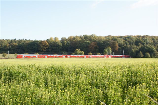 Regio-Express met een koolzaadveld (Foto: Hans Hermans)