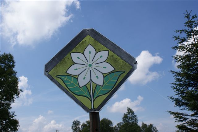 Bord met afbeelding Zevenster (Foto: Hans Hermans)