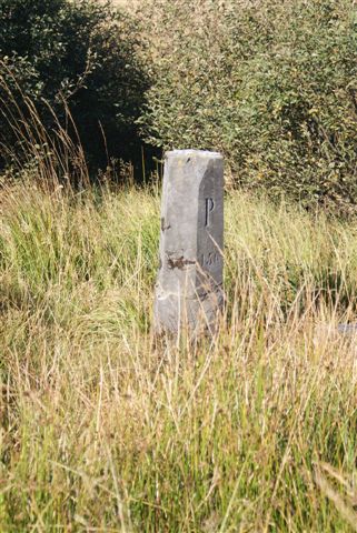 Pruisenpaal nr. 156 (Foto: Hans Hermans)