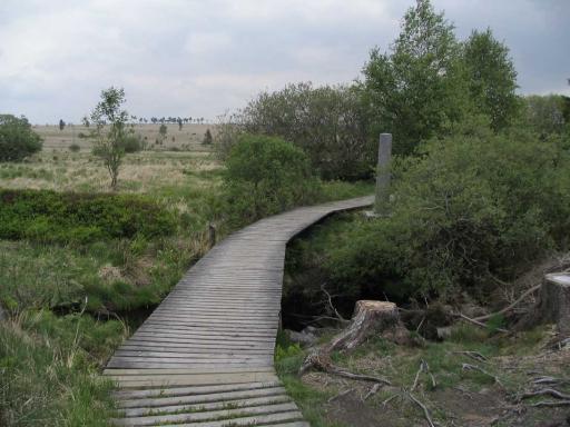 HV-157 (Foto: Aafke de Wijk)