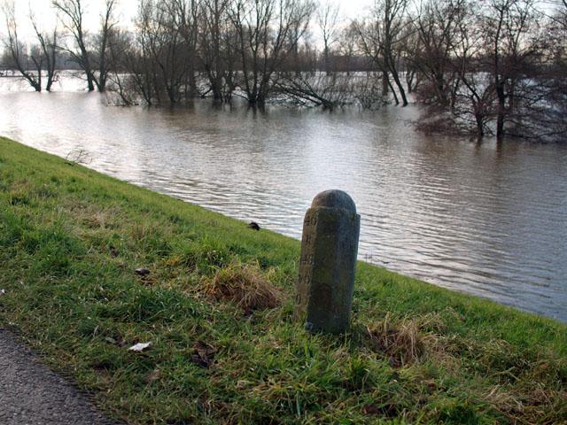 (Foto: Aafke de Wijk)