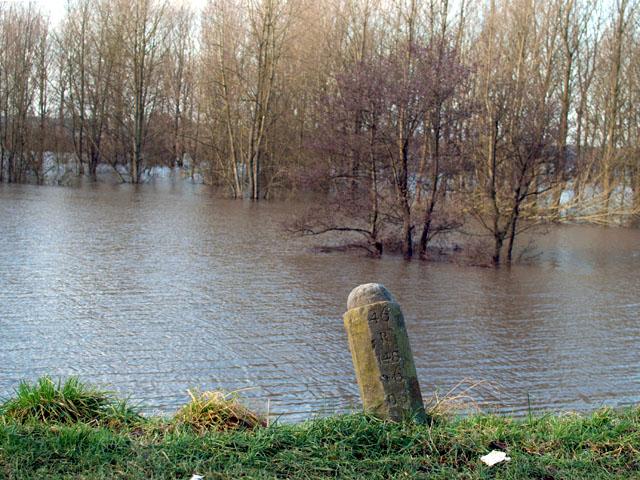 (Foto: Aafke de Wijk)