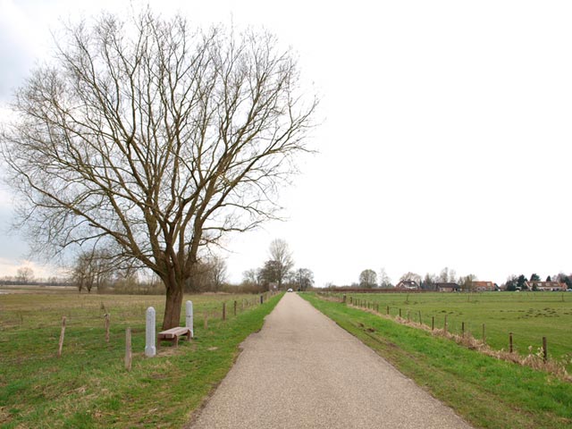 (Foto: Aafke de Wijk)