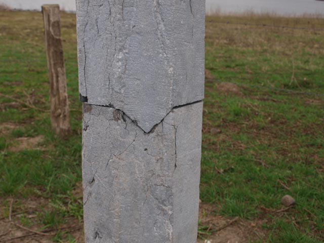 (Foto: Aafke de Wijk)