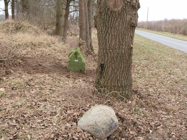 (Foto: Aafke de Wijk)