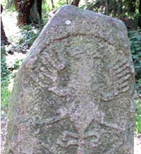 Adelaarsteen