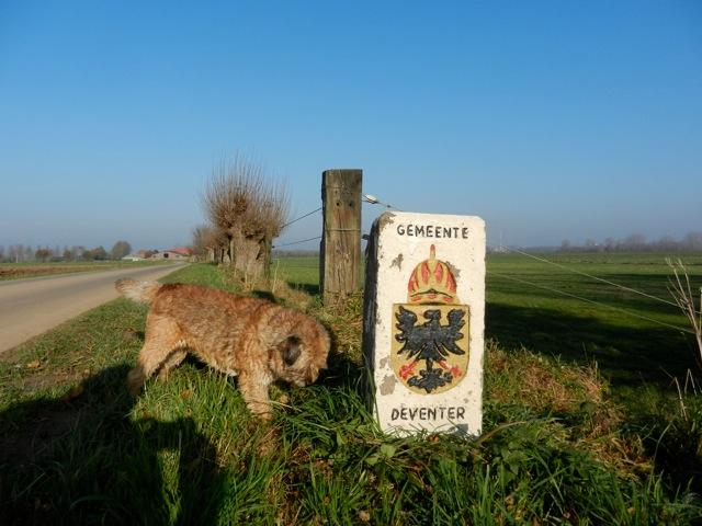 Gemeentepaal Deventer