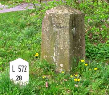 Bentheimsteen (Diwa)