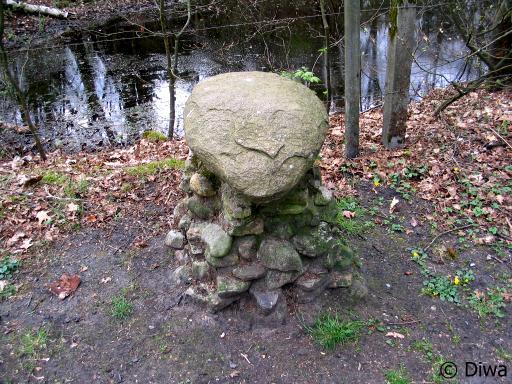 Steen met gezicht (Foto: Dick Waanders)