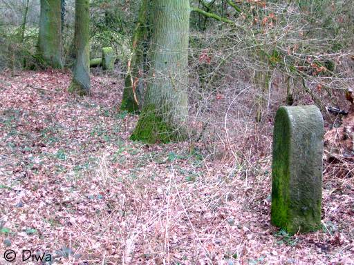 Twee ongenummerde stenen (Foto: Dick Waanders)