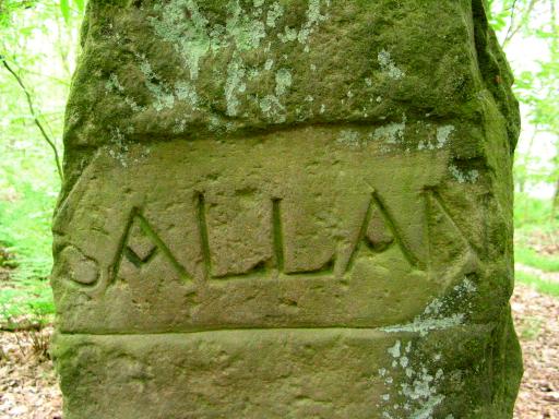 De Salland-zijde (Foto © Dick Waanders)
