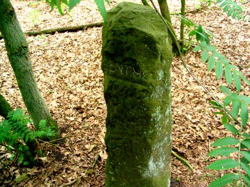 De Twente-zijde (Foto © Dick Waanders)