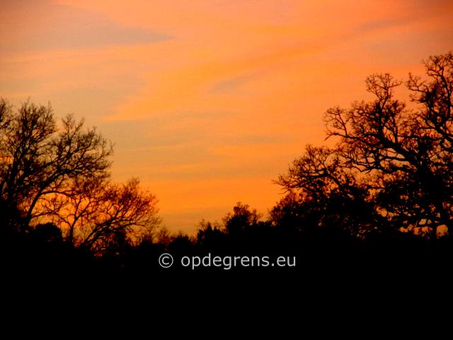 (Foto: Dick Waanders)