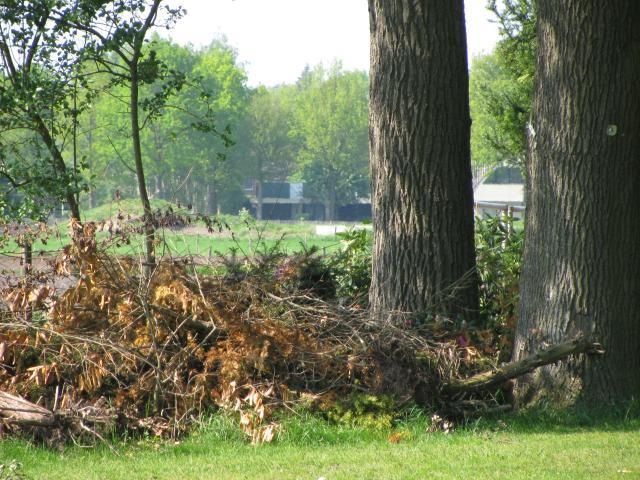 (Foto: Rita Melgert)