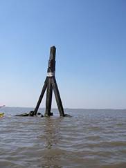 Dukdalf in Dollard