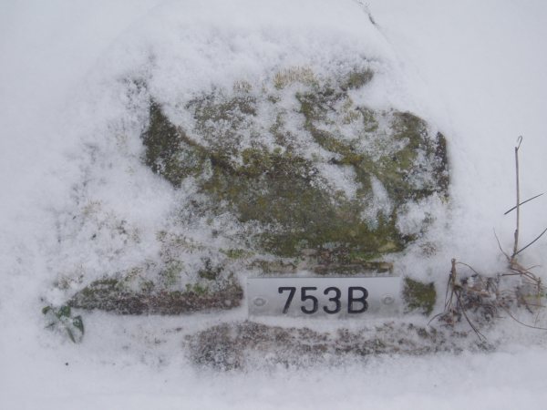 Gp 753-B (Foto: Maria Beening)