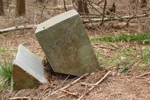 Neutraal Moresnet 45 (Foto: Hans Hermans)