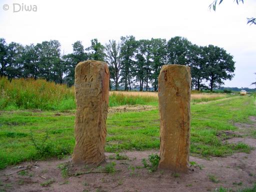 (Foto: Dick Waanders)