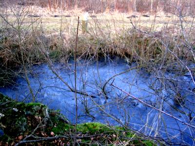Water rond gp 832-E (Foto: Dick Waanders)