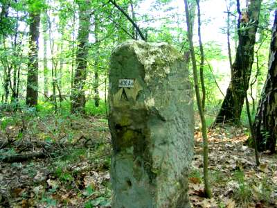 838-A (Foto Dick Waanders)