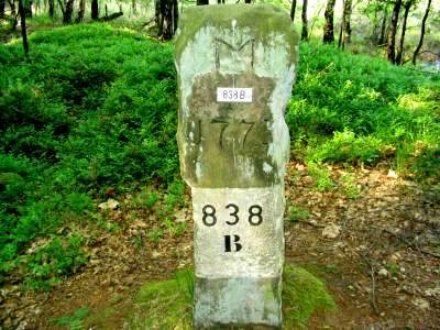 838-B (Foto Dick Waanders)
