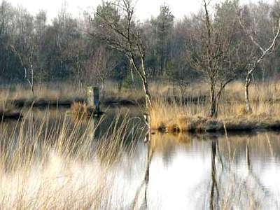 838-C (Foto Aafke de Wijk)