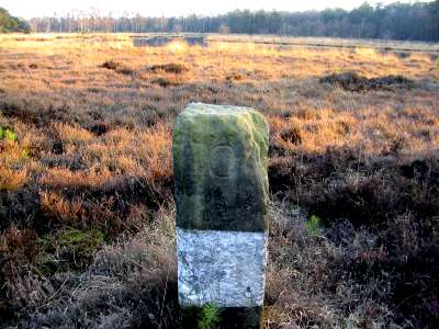 838-D (Foto Dick Waanders)