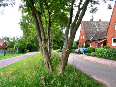 De twee wegen (dw)