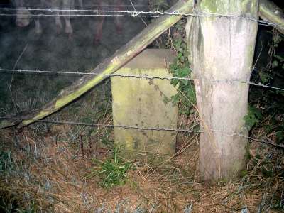 11-III (foto Dick Waanders)