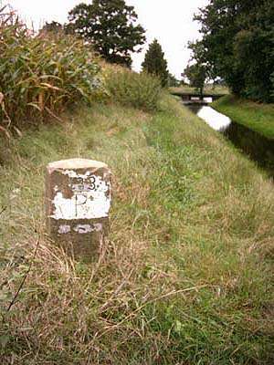 Gp 123 (Foto: Aafke de Wijk)