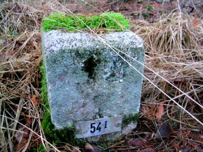 Gp 54-I (Foto: Dick Waanders)