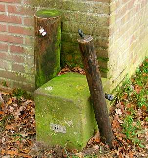 72-II Rechtsachter (Foto: Dick Waanders)