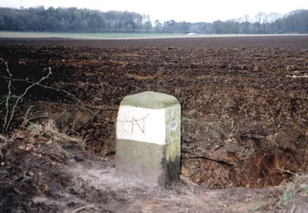 81 (Foto Aafke de Wijk)