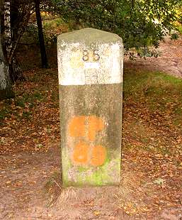 Gp 85 (Foto: Dick Waanders)