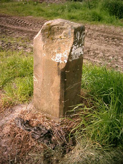 94 met beschadiging (Foto: Aafke de Wijk)
