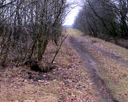 Lege plek (2005) (Foto © Dick Waanders)