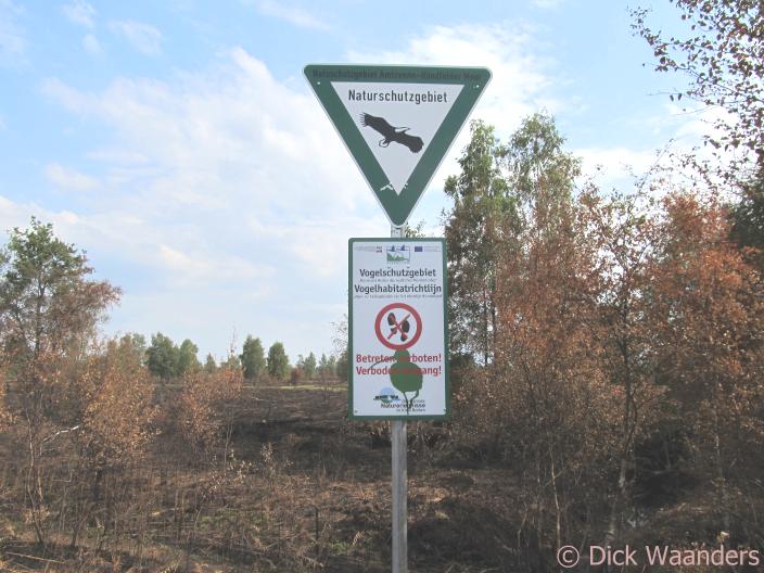 De Duitsers maken het bont (Foto: Dick Waanders)
