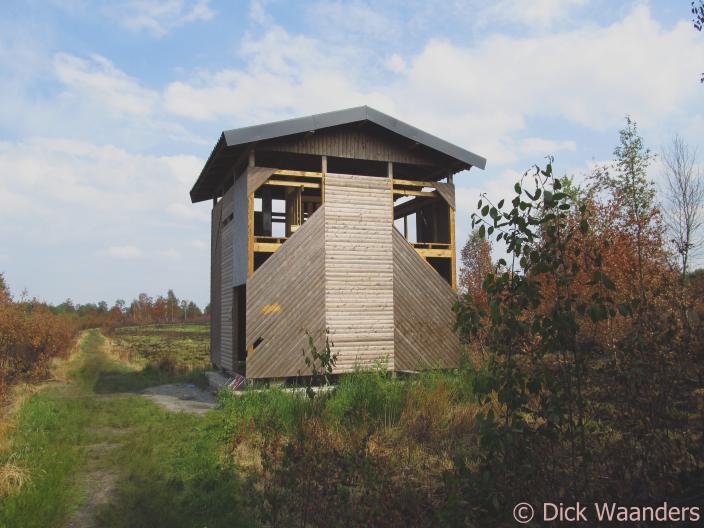 Vernielde hut (Foto: Dick Waanders)