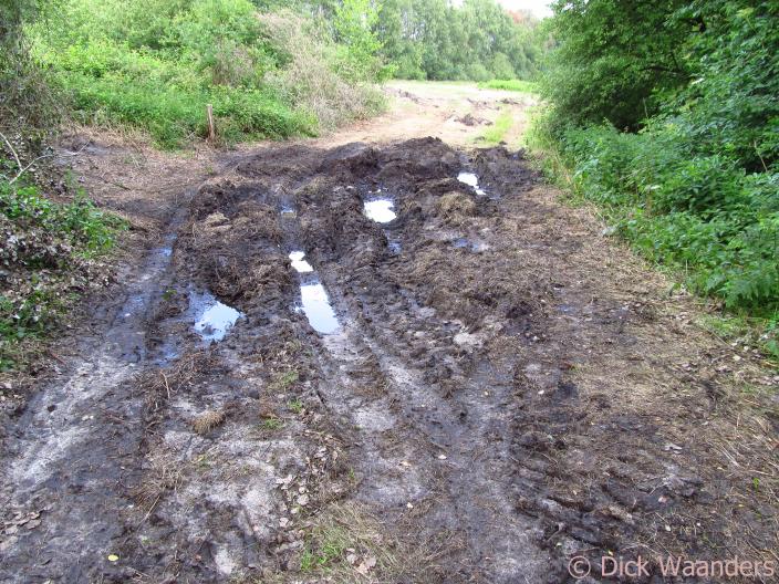 Sporen van brandweerauto's (Foto: Dick Waanders)