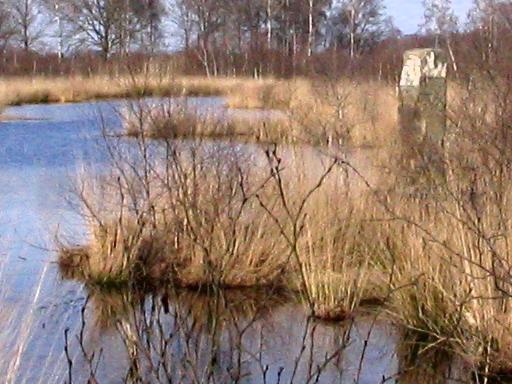 Het gezochte meertje en gp 832-G (Foto: Dick Waanders)
